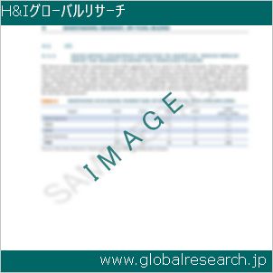 グローバルリサーチ調査レポートのイメージ